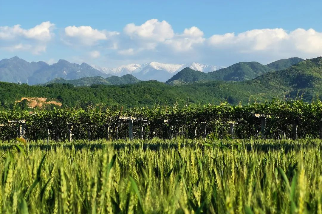 LETOU国际米兰·(中国区)官方网站