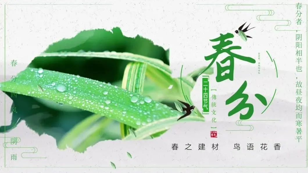 今日春分 | 春之建材，鸟语花香