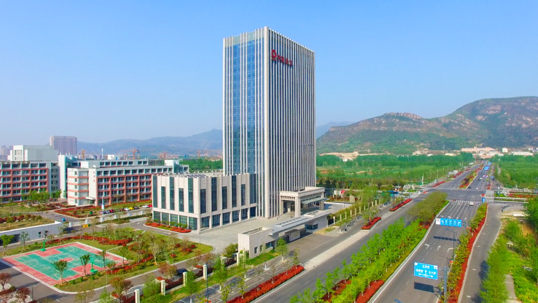 2022101010503982796 2022101010503982796